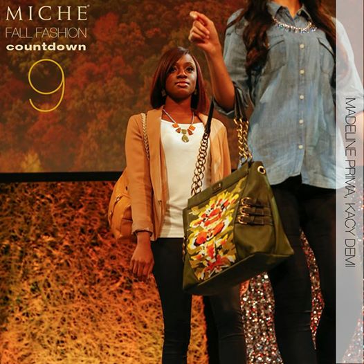 Miche September 2014 Collection Sneak Peak #9 | Shop MyStylePurses.com
